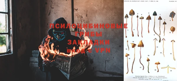 прущая мука Билибино
