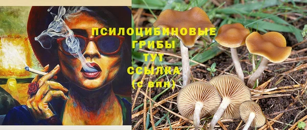сатива Алексеевка